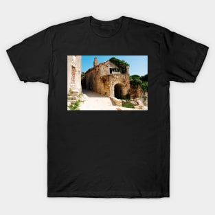 Buildings in Pican T-Shirt